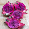 Neon Dragon Fruit Plant (hylocereus polyrhizus)