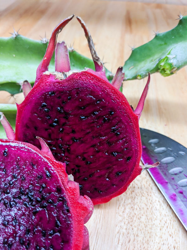 Orejona Dragon Fruit Plant (hylocereus polyrhizus) - Image 5