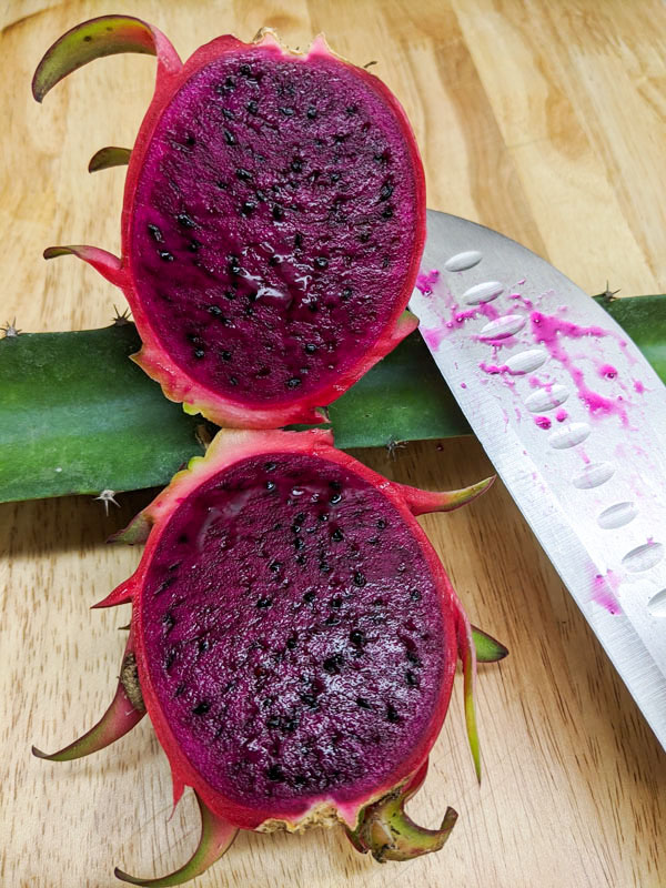 Orejona Dragon Fruit Plant (hylocereus polyrhizus) - Image 2