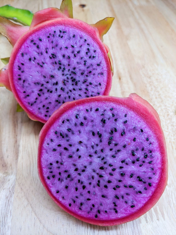 Sweet Pink Dragon Fruit Plant (hylocereus polyrhizus) - Image 3