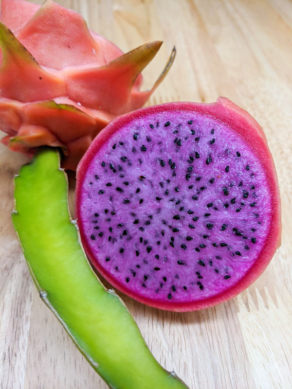 Sweet Pink Dragon Fruit Plant (hylocereus polyrhizus) - Image 4