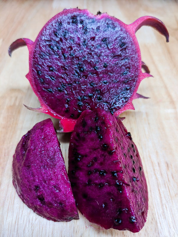Red Jaina Dragon Fruit Plant (hylocereus polyrhizus) - Image 4