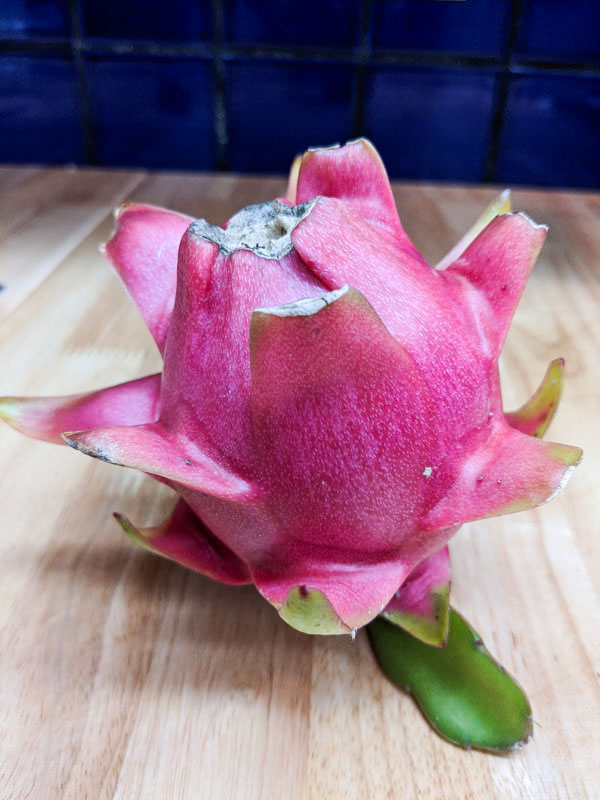 Lite Pink Dragon Fruit Plant (hylocereus polyrhizus) - Image 2