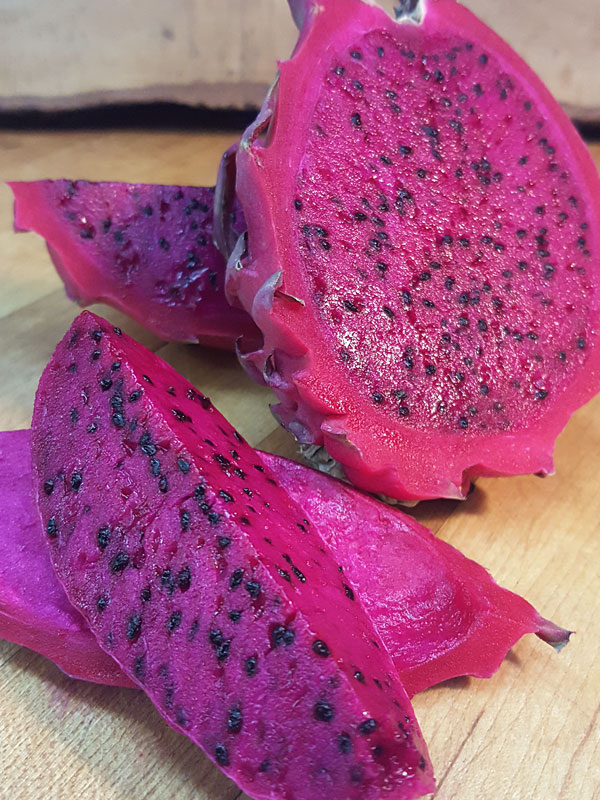 Zamorano Dragon Fruit Plant (hylocereus polyrhizus)