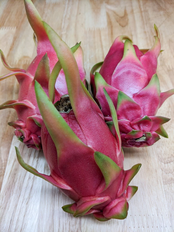 Sweet Delight Dragon Fruit Plant (hylocereus undetus x guatemalensis) - Image 5