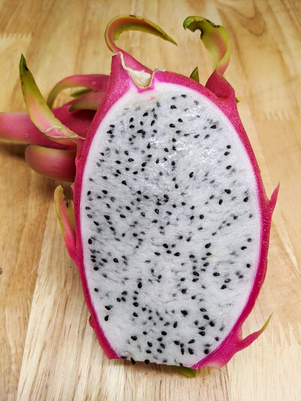 Neitzel White Dragon Fruit Plant (hylocereus undetus) - Image 4