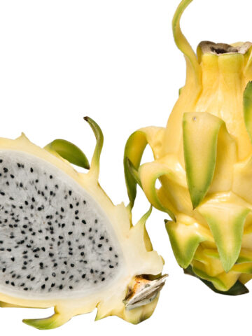 Maui Gold Dragon Fruit Plant (hylocereus ocamponis)