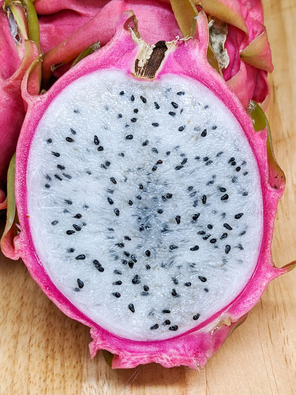 Thai White Dragon Fruit Plant (hylocereus undetus) - Image 2