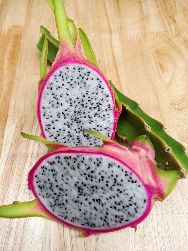 Giant Vietnamese Jaina White Dragon Fruit Plant (hylocereus undetus) - Image 2