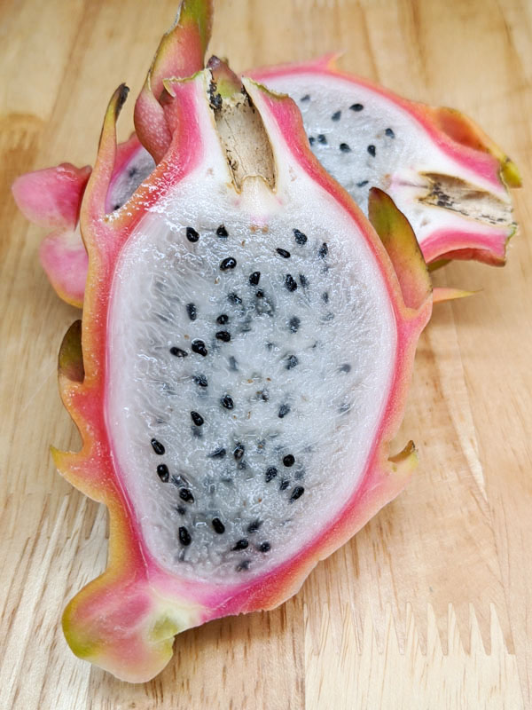 Yellow Tail Thai Dragon Fruit Plant (hylocereus undetus x megalanthus) - Image 3