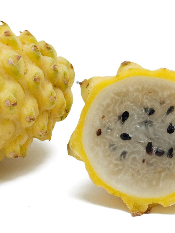 Sweet Yellow Dragon Fruit Plant (selenicereus megalanthus) - Image 2