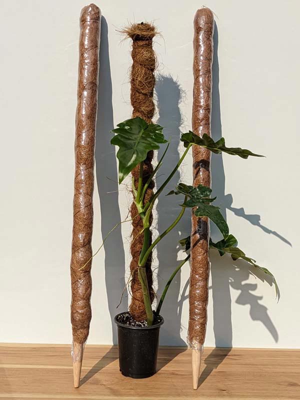 2 Stackable Coco Grow Poles 34 (inches tall)