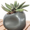 The Pebble - Slate